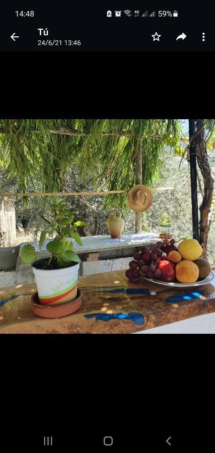 Casa papi Villa Alcaucin Luaran gambar